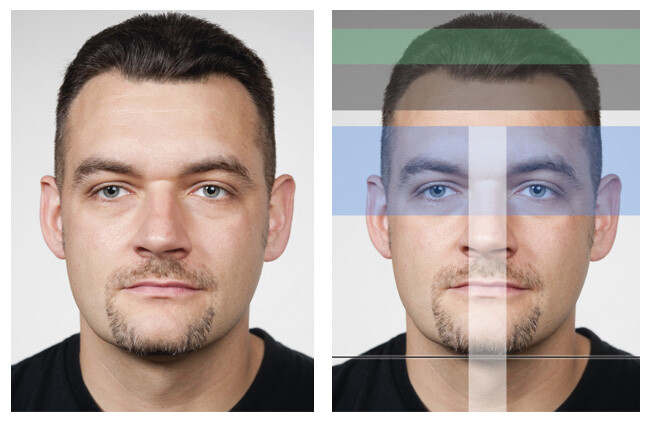 Biometrisches Passbild