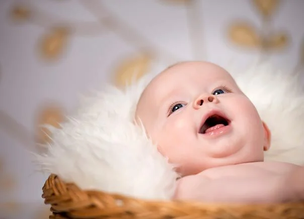 Baby im Weidenkorb | Peter Lauritis Photography Dankeskarten zur Geburt: Baby auf hellem Fell schaut mit großen Augen nach oben