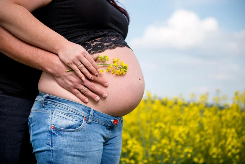 Babybauchfotos im Rapsfeld: Hände der Eltern auf dem Bauch mit gelben Rapsblüten