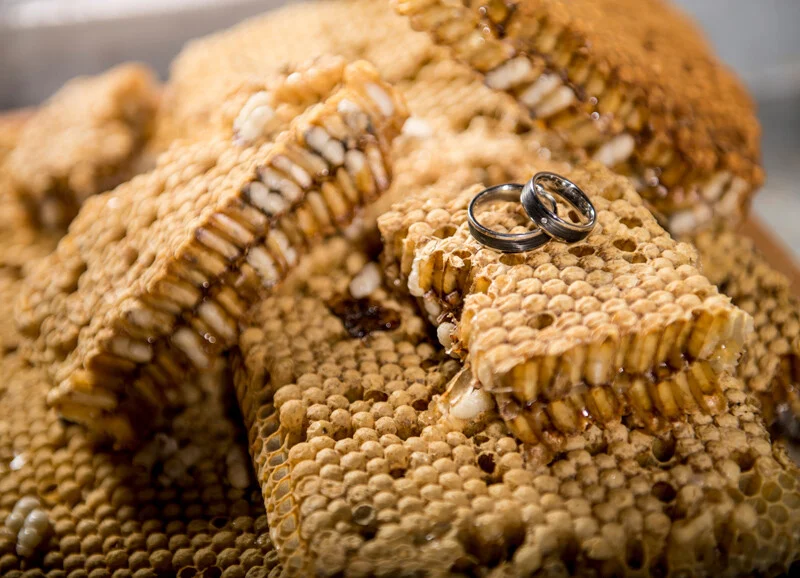 Ringe auf der Wabe | Peter Lauritis Photography Eheringe auf der Honigwabe: zwei glänzende Ringe auf goldenen Wabenstücken