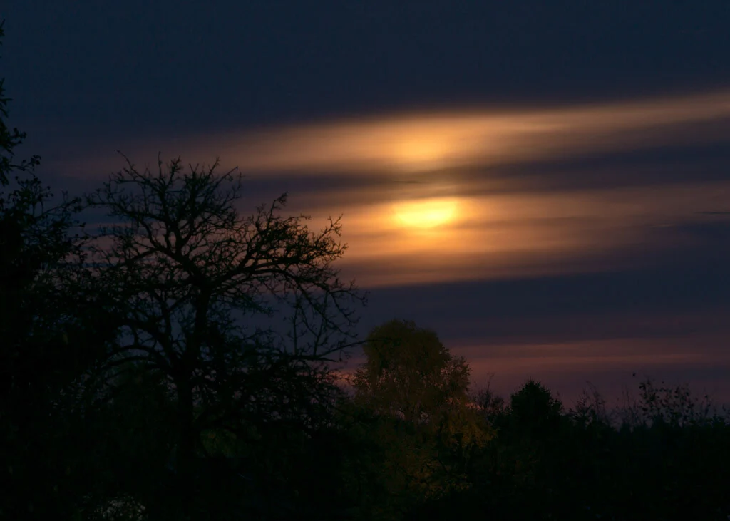 Supermond hinter Wolken | Peter Lauritis Photography Supermond 2016: Mond leuchtet als Langzeitbelichtung durch ziehende Wolken über Bäumen