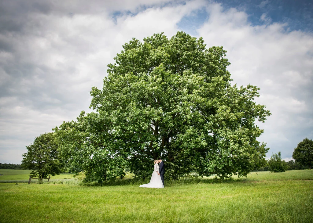 Brautpaar unter dem Baum | Peter Lauritis Photography Hochzeitsfotografen finden: Brautpaar steht eng umschlungen unter einem großen Baum auf der Wiese