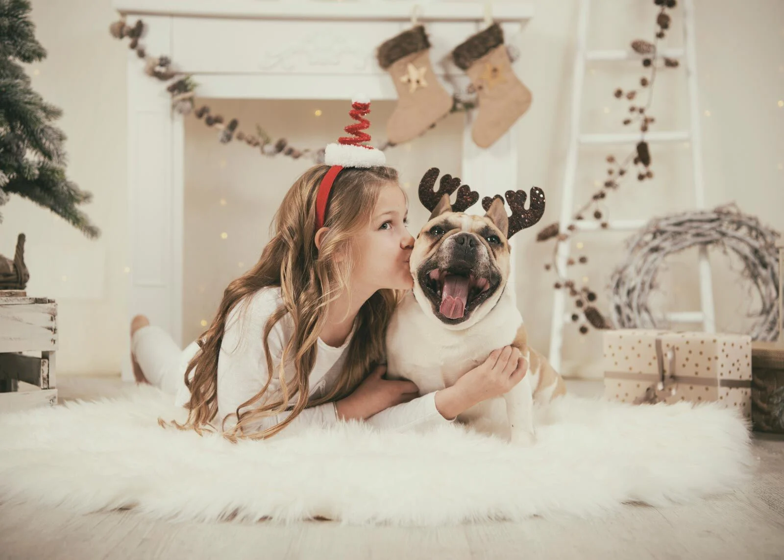 Mädchen liegt mit Französischer Bulldogge im Rentiergeweih auf einem weißen Fell