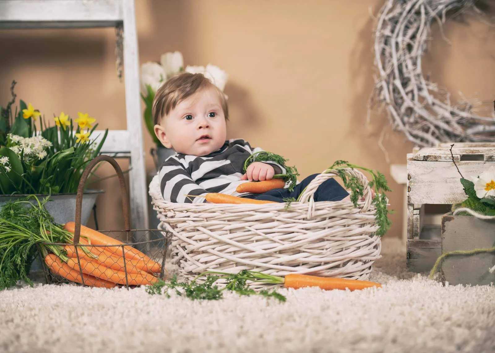 Baby im gestreiften Pulli sitzt in einem Weidenkorb zwischen Möhren und Frühlingsblumen