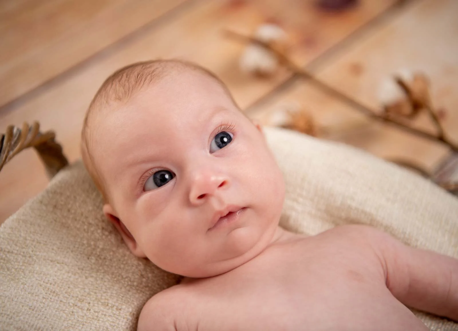 Neugieriger Blick | Peter Lauritis Photography Baby schaut mit großen blauen Augen nach oben, im Hintergrund Baumwollzweige