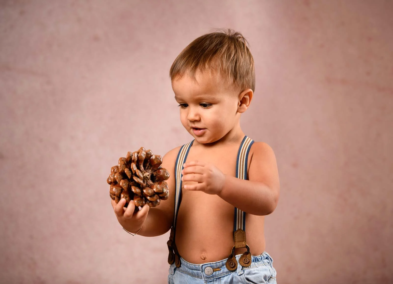 Kleiner Junge mit Hosenträgern hält einen großen Tannenzapfen in der Hand