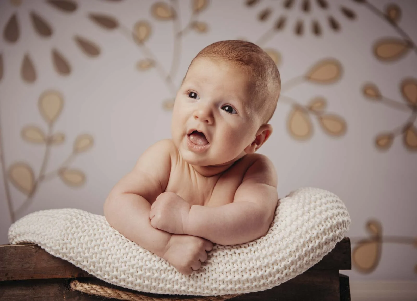 baby newborn fotos fotograf schwalm eder