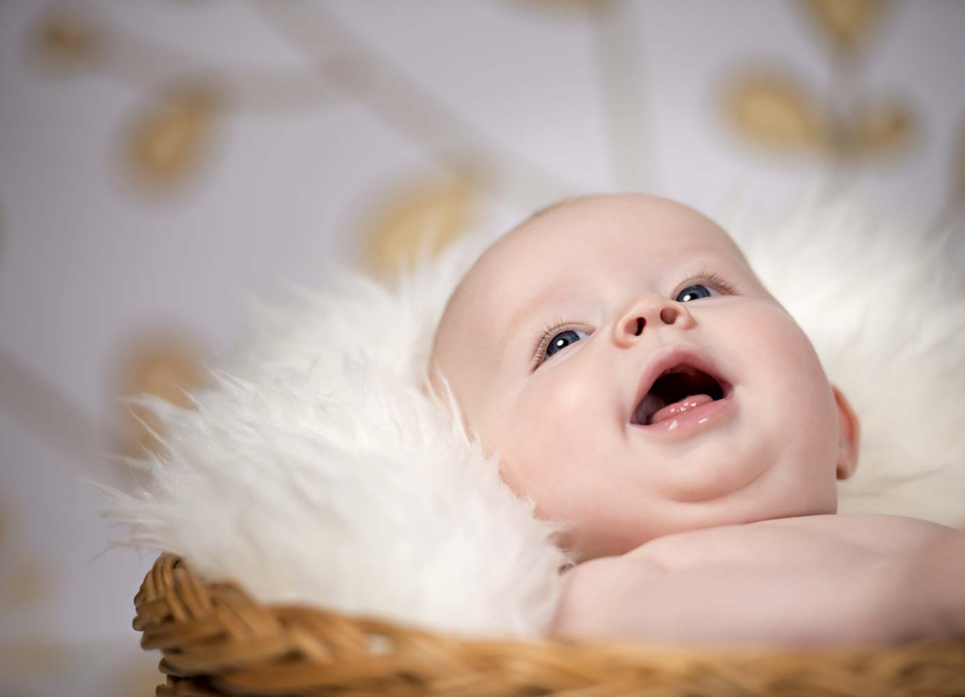 baby neugeborene fotograf fotostudio marburg alsfeld 250