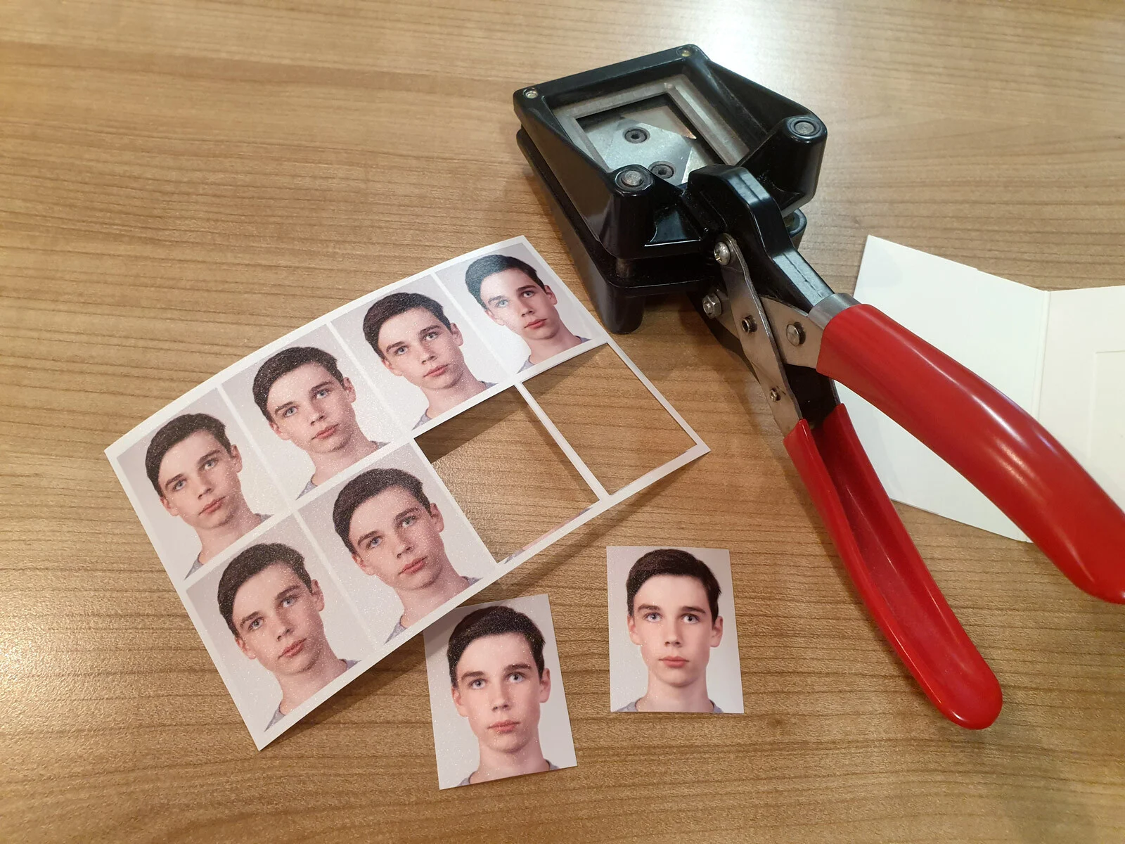 Passbilder eines jungen Mannes auf Fotopapier, daneben eine rote Stanze zum Ausschneiden
