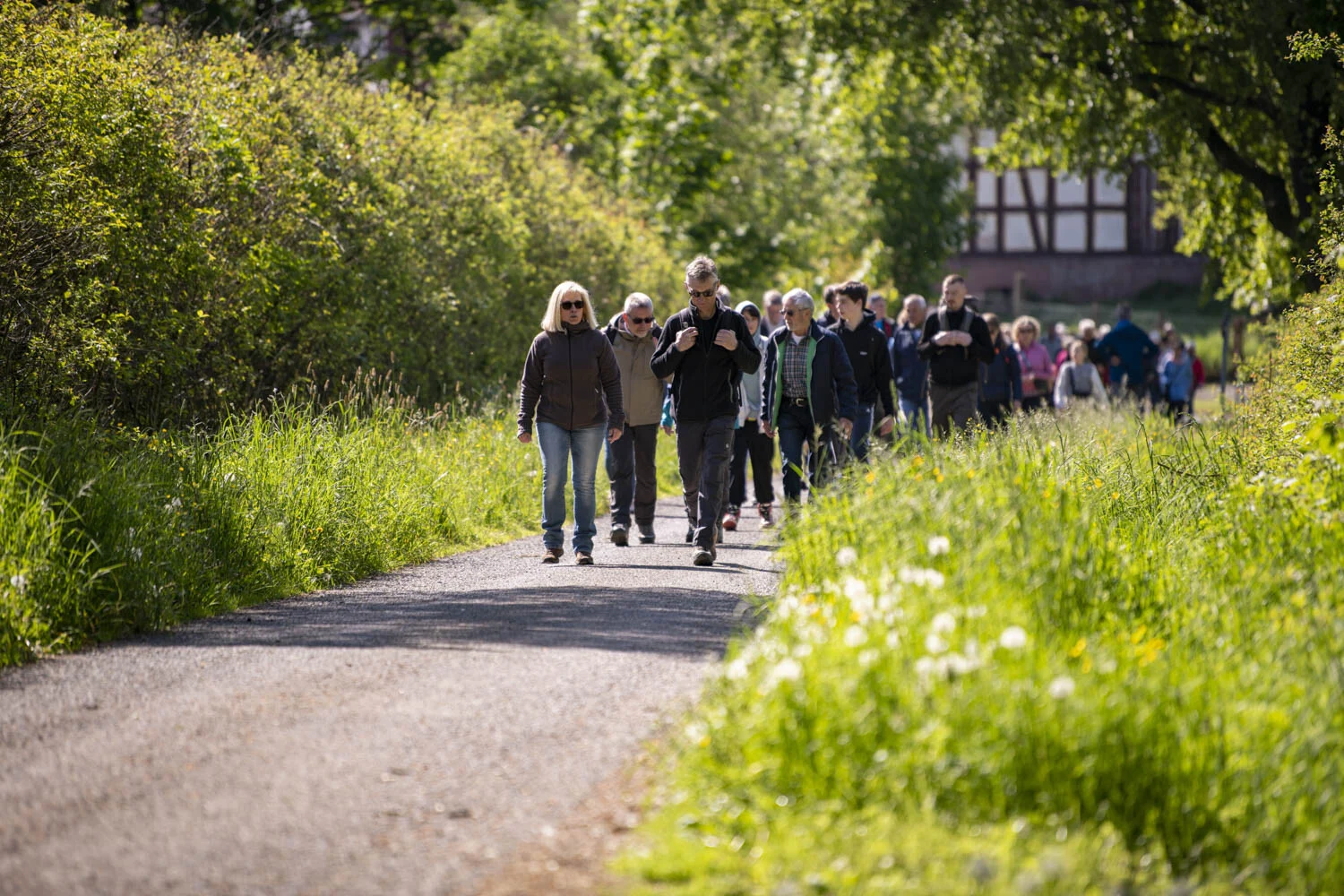Wandernde gehen einen schmalen Weg zwischen grünen Hecken entlang