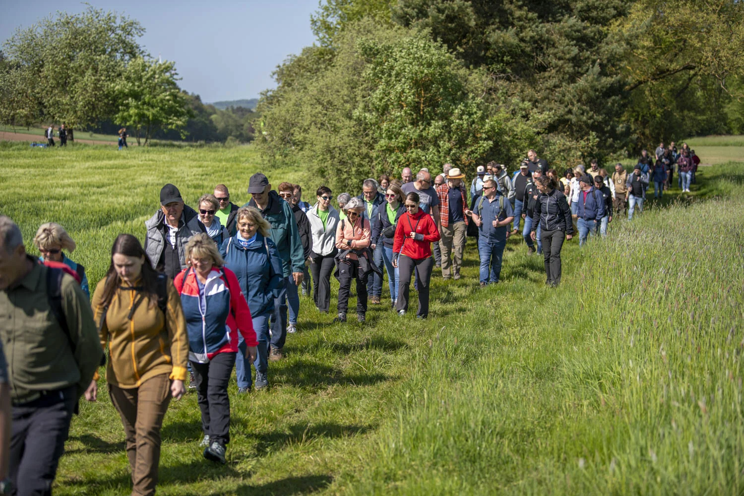 Grenzgang: lange Reihe von Wandernden auf einem Weg durch eine grüne Wiese