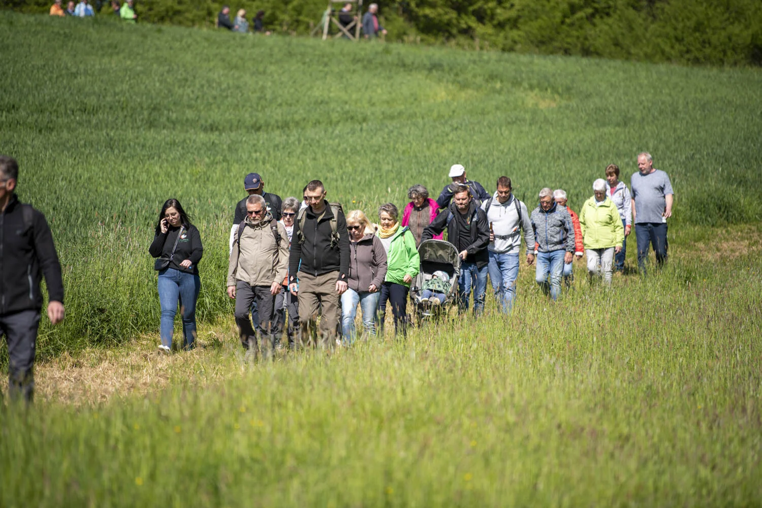 Gruppe von Wandernden auf einem grasbewachsenen Weg zwischen Feldern