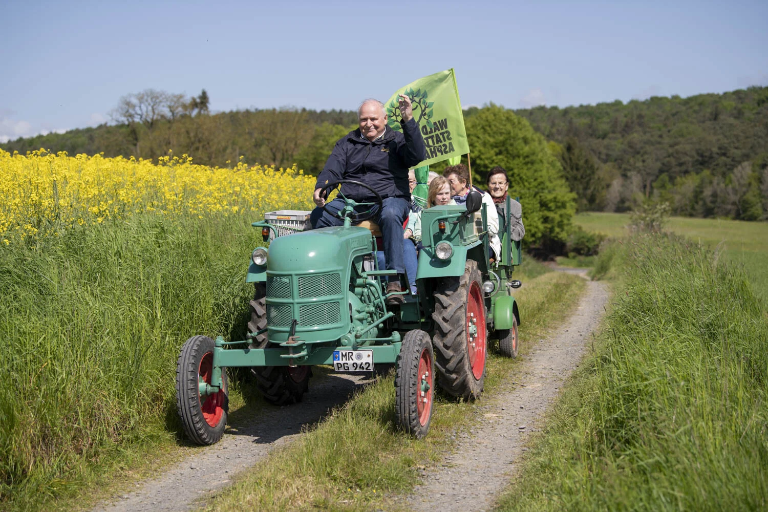 Alter grüner Traktor mit Fahne fährt auf einem Feldweg vor einem Rapsfeld
