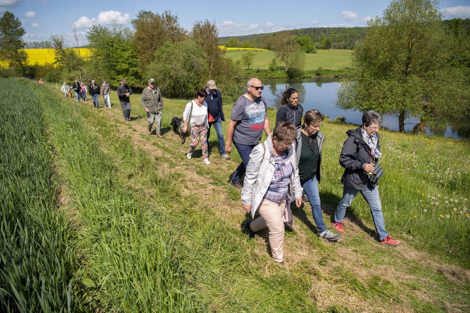 Wandernde laufen auf einem Wiesenweg, im Hintergrund ein Teich