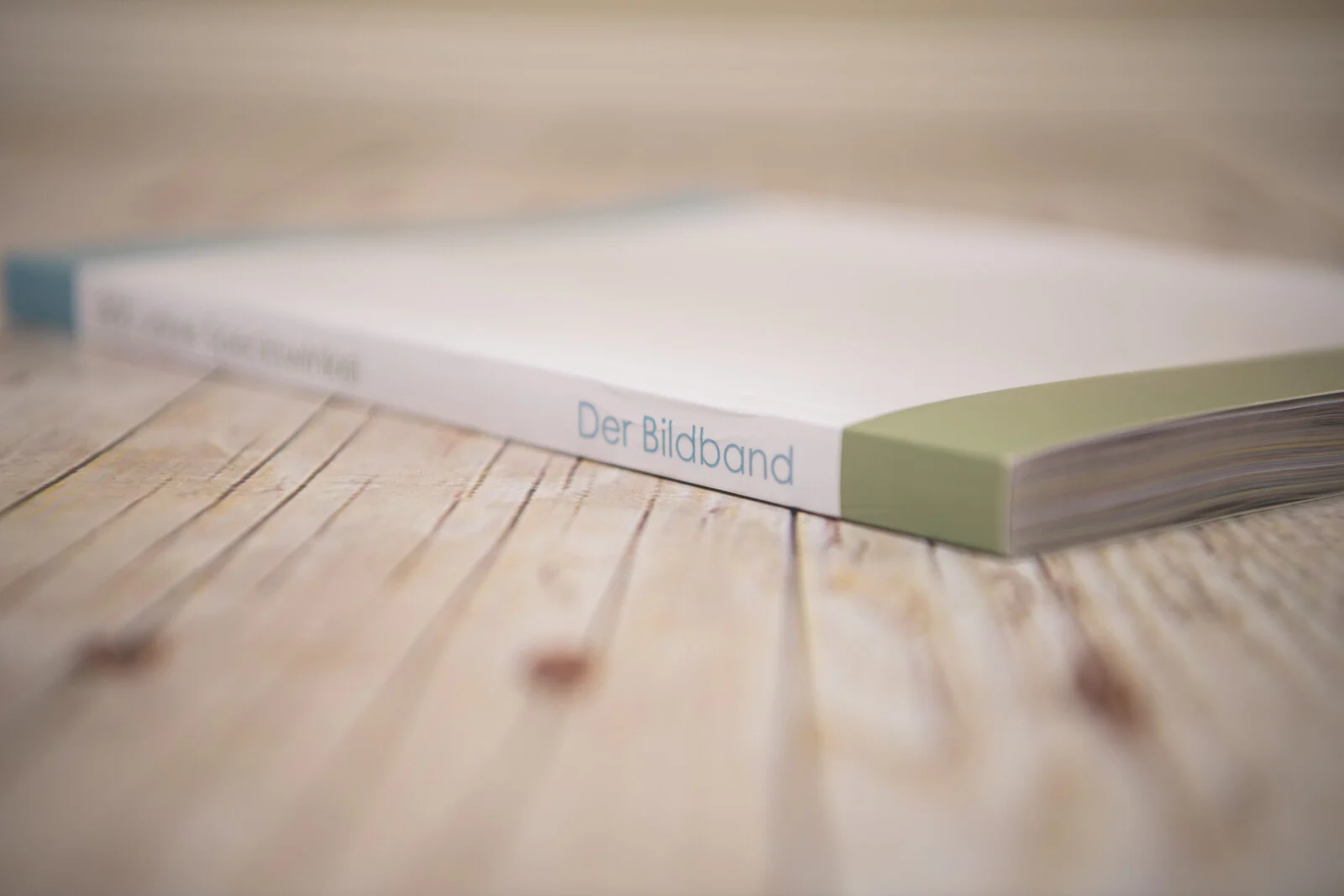 Buchrücken mit dem Schriftzug Der Bildband und grünem Streifen