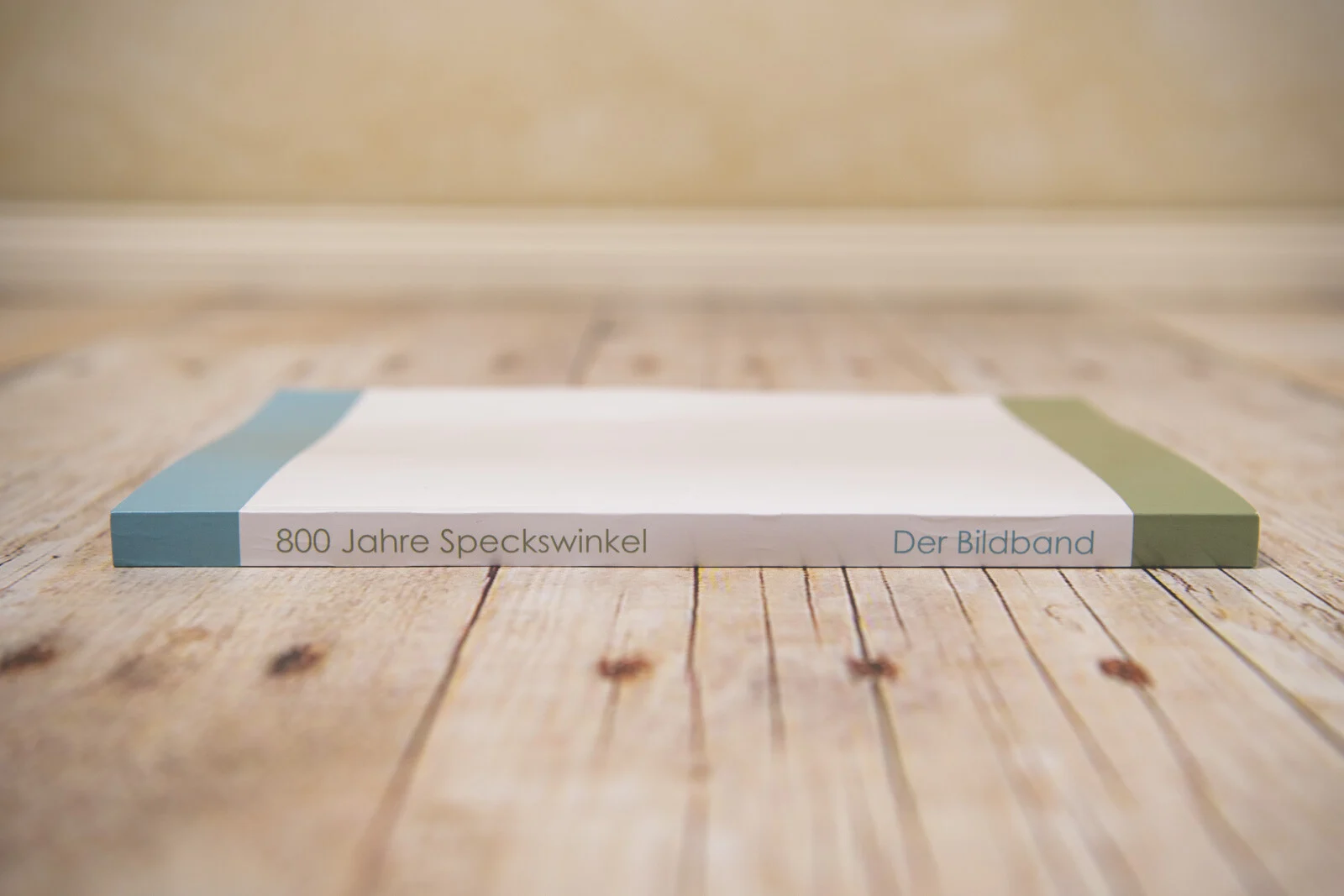 Buchrücken mit Titelaufschrift sowie grünem und blauem Streifen