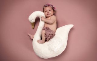 Peter Lauritis Photography