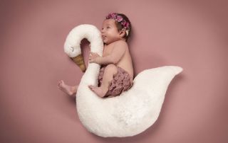 Peter Lauritis Photography