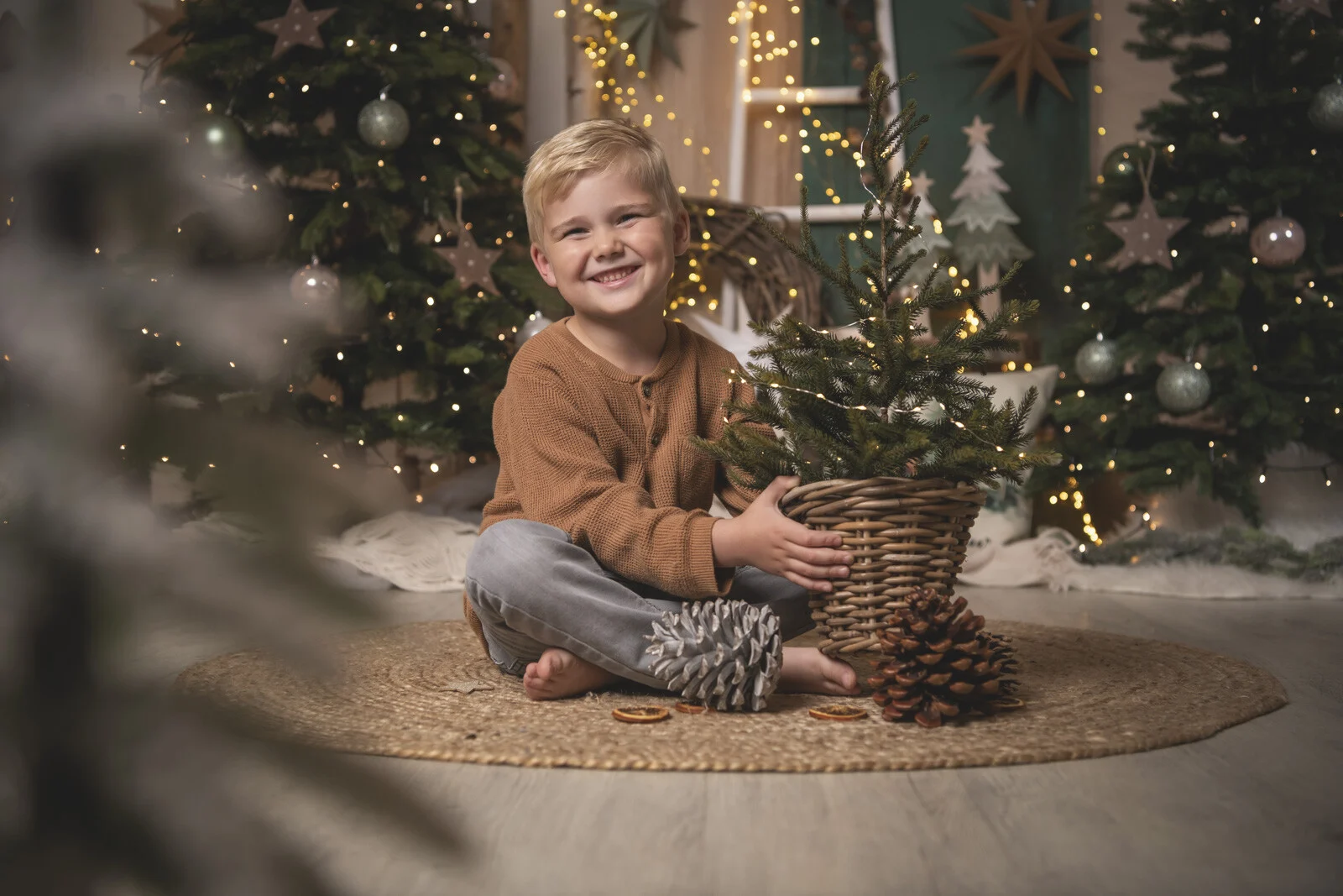 Junge sitzt im Schneidersitz und hält einen kleinen Tannenbaum in einem Korb