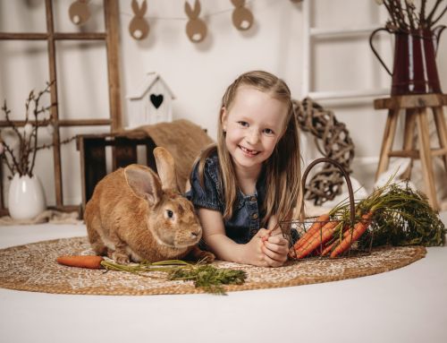 Frühlingshafte Kinder- und Familienfotos