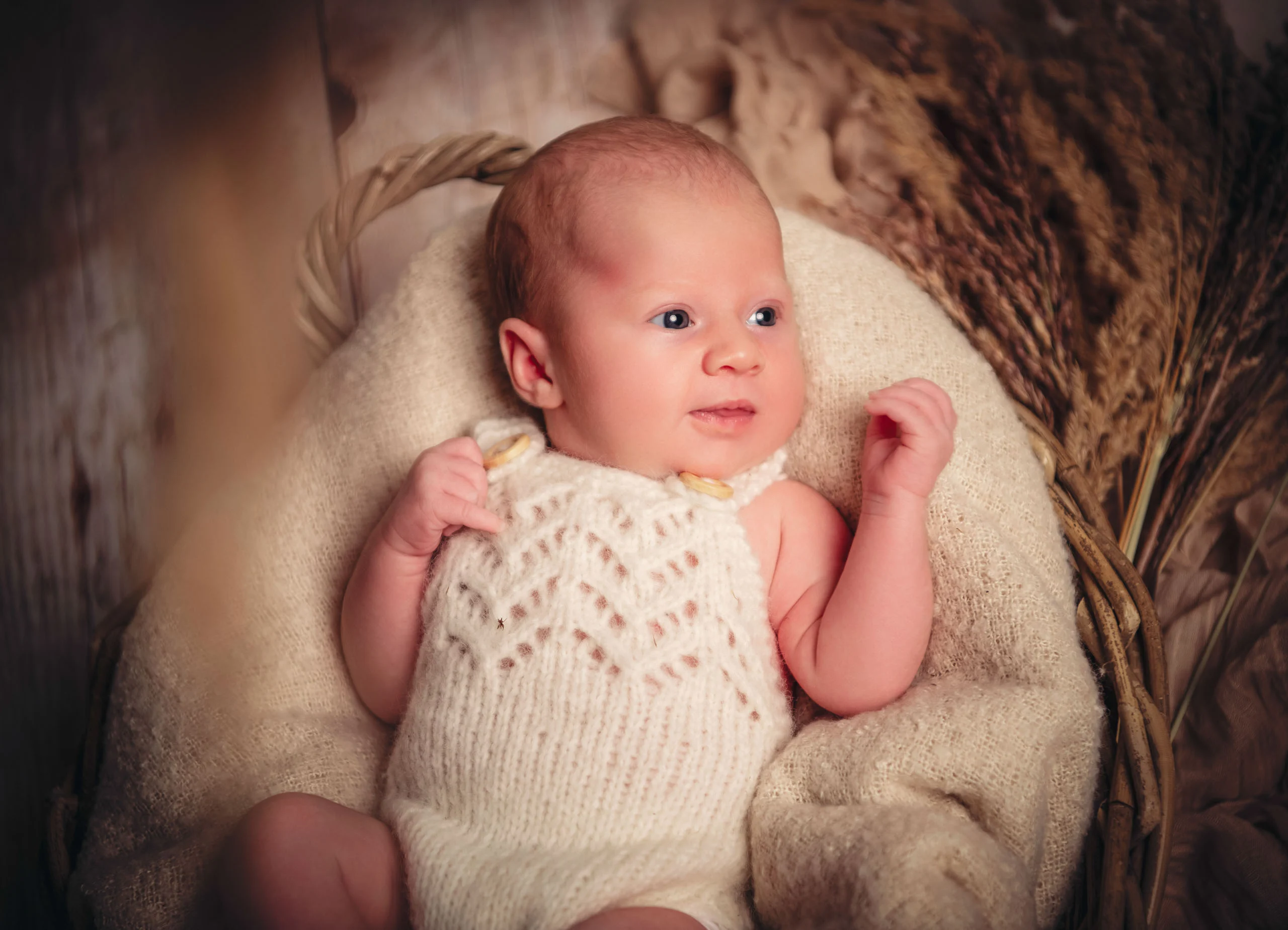 Babyfotos Neugeborene Fotogalerie 059 | Peter Lauritis Photography Baby im Strickbody liegt wach in einem Korb mit Trockengräsern