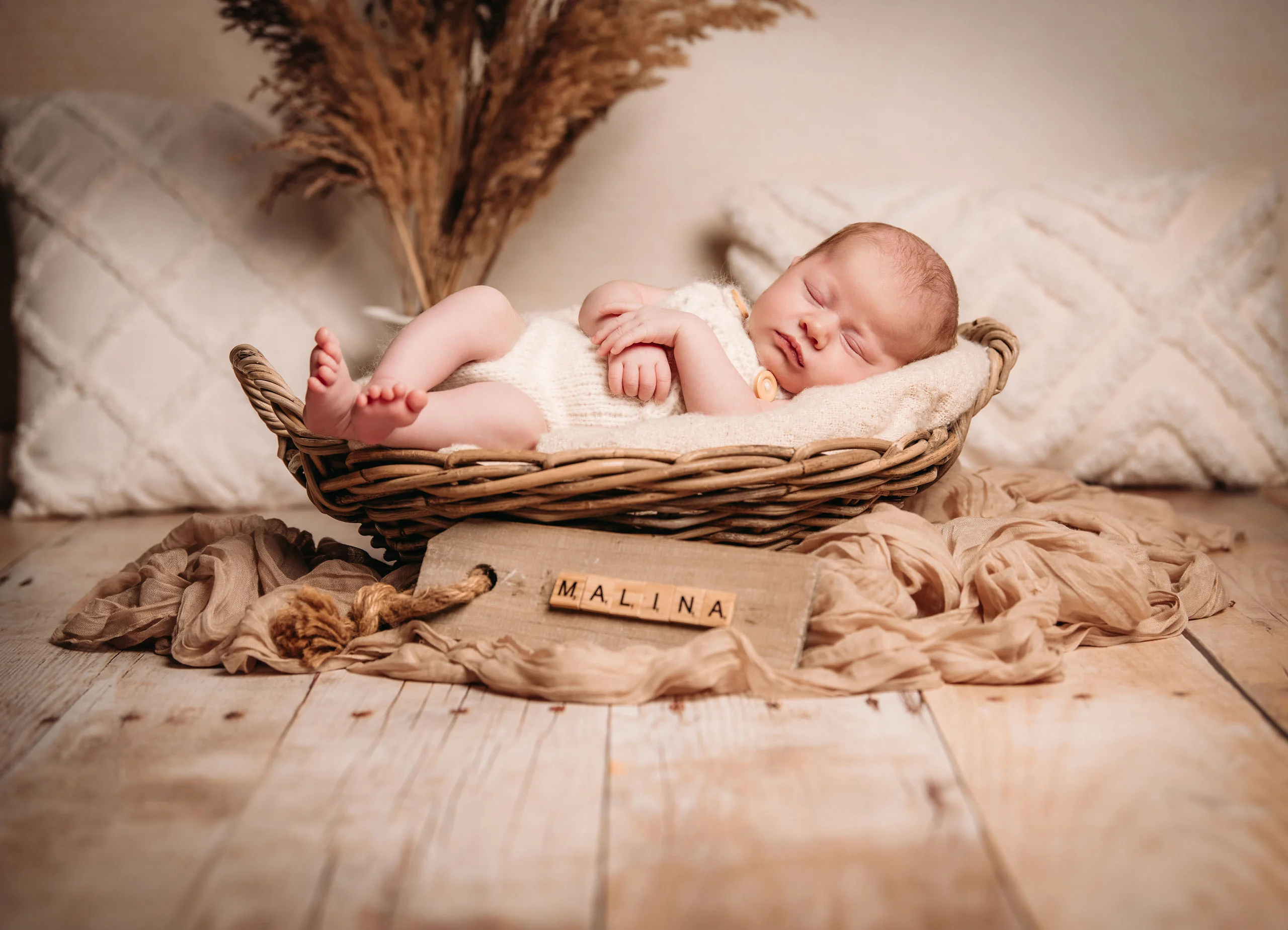 Babyfotos Neugeborene Fotogalerie 062 | Peter Lauritis Photography Schlafendes Neugeborenes im Korb, davor ein Namensschild, dahinter Pampasgras