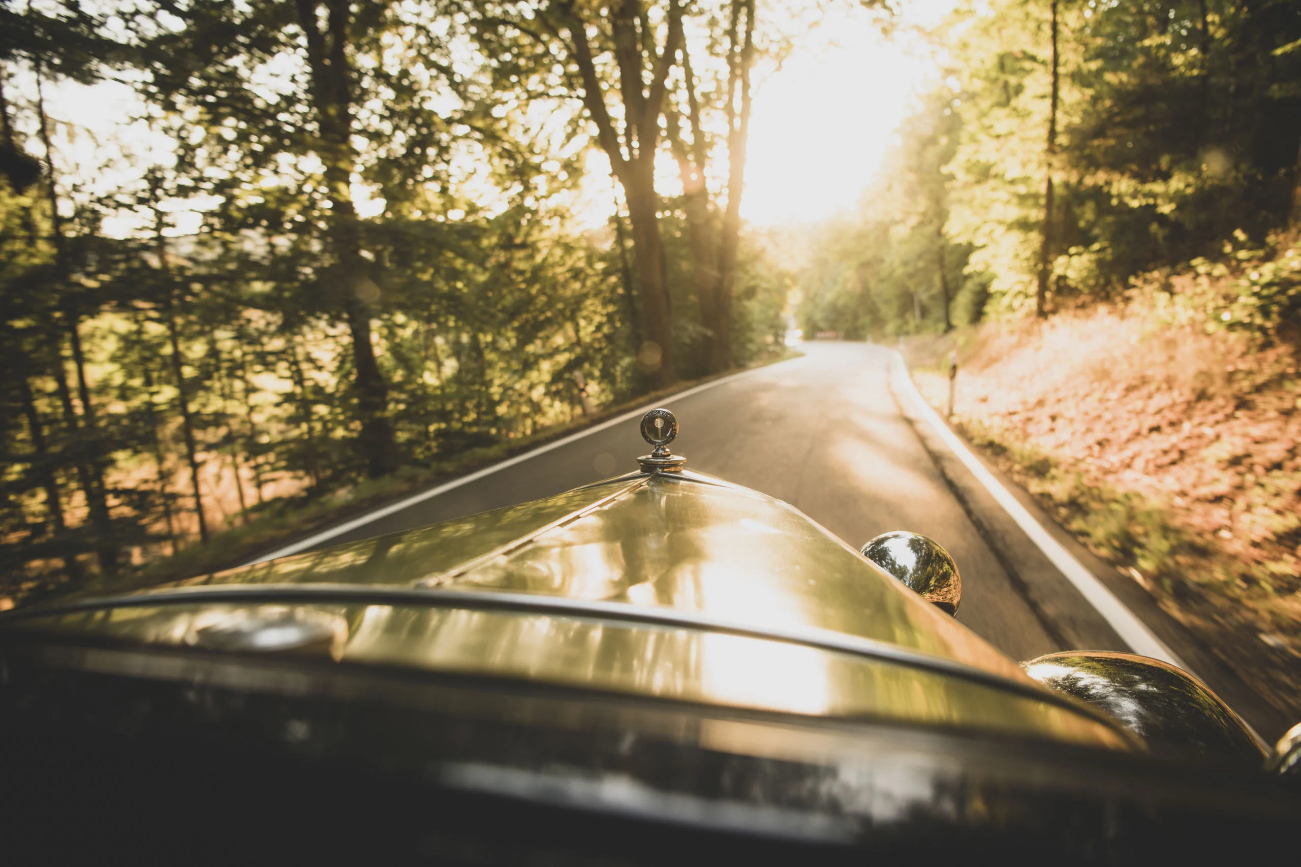Auto-Fotoshooting: Blick über die glänzende Motorhaube auf eine Straße durch den Wald