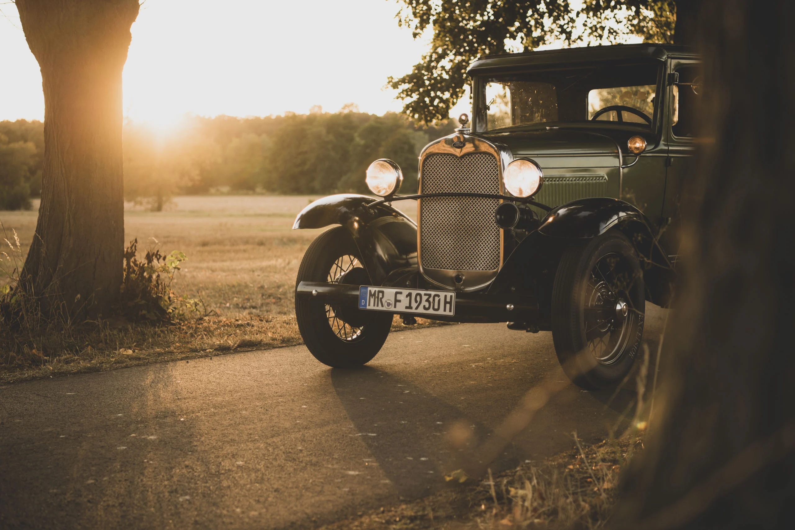 Oldtimer im warmen Gegenlicht der Abendsonne neben einem Baum