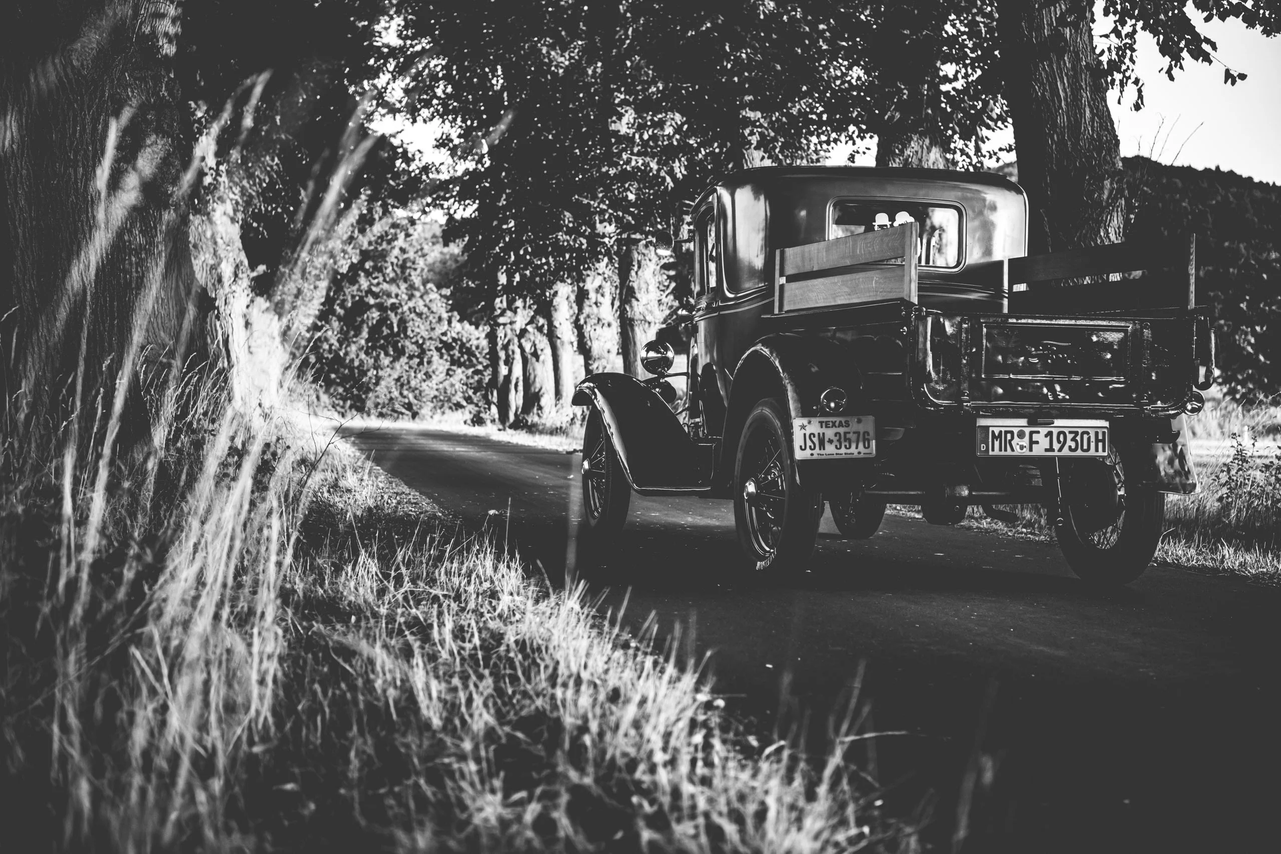 Oldtimer-Pick-up von hinten auf einer Allee in Schwarz-Weiß