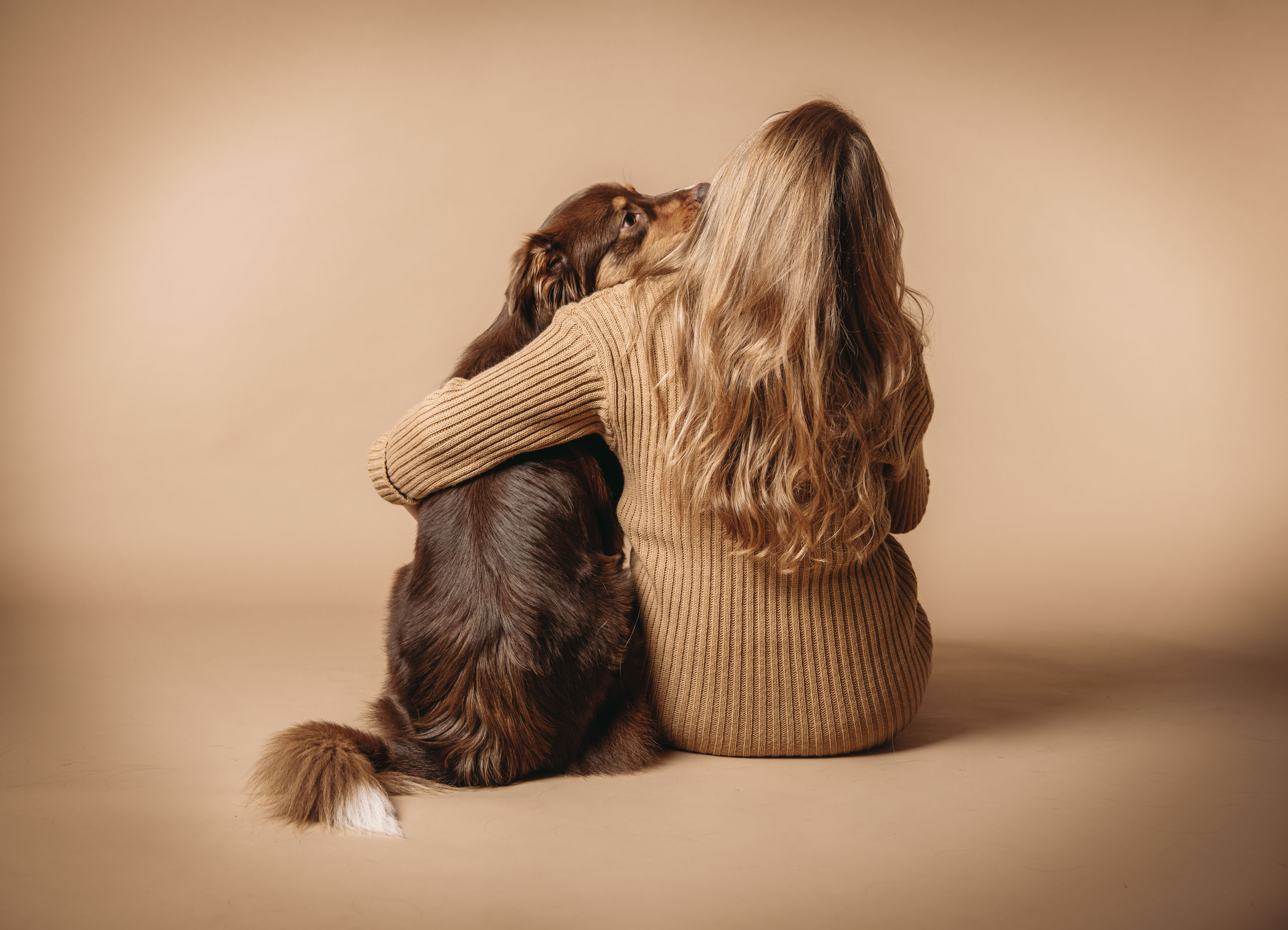 tiere hunde katzen fotoshooting fotograf