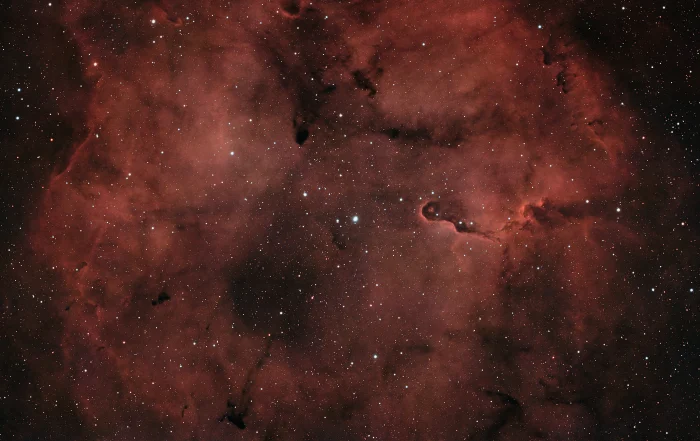 Elefantenrüsselnebel IC 1396A, aufgenommen in Speckswinkel | Peter Lauritis Photography Elefantenrüsselnebel IC 1396A: dunkle, rüsselförmige Staubwolke vor leuchtendem Gas im Sternbild Kepheus, Astrofoto aus Speckswinkel