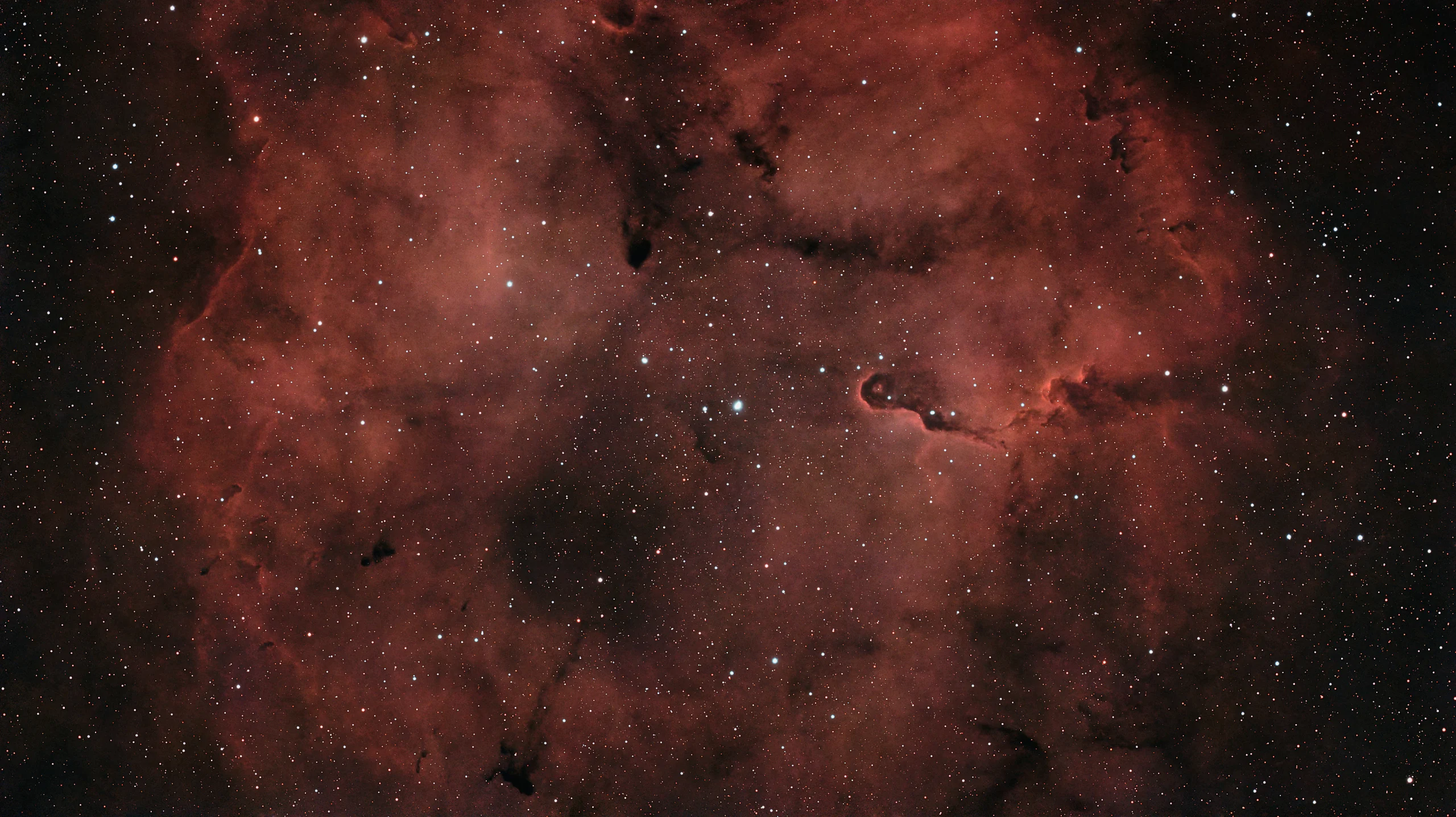 Elefantenrüsselnebel IC 1396A, aufgenommen in Speckswinkel | Peter Lauritis Photography Elefantenrüsselnebel IC 1396A: dunkle, rüsselförmige Staubwolke vor leuchtendem Gas im Sternbild Kepheus, Astrofoto aus Speckswinkel